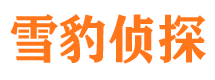 沅陵寻人公司